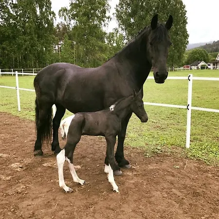 Apartment Gardsopphold Notodden