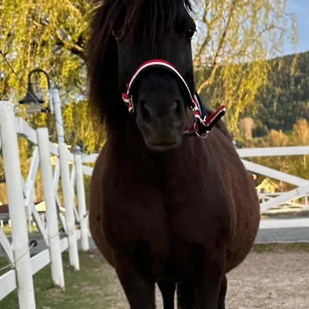 Gardsopphold Notodden