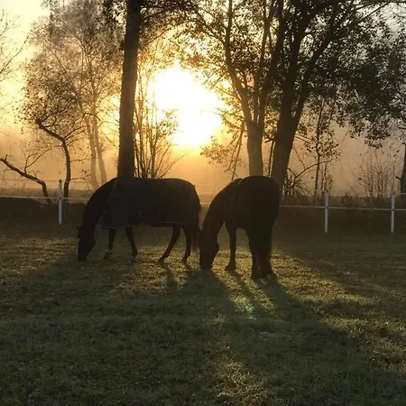 Gardsopphold Notodden