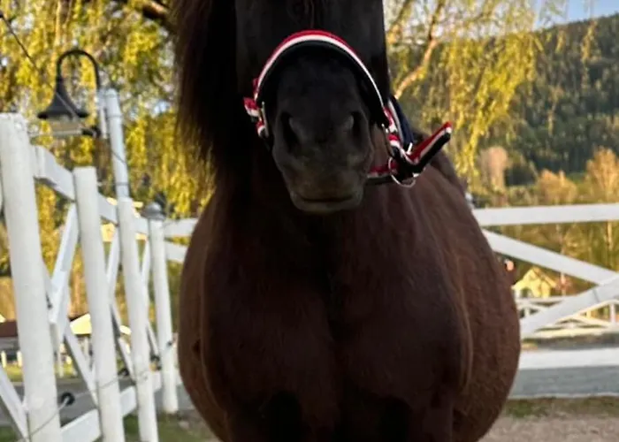 Gårdsopphold Notodden