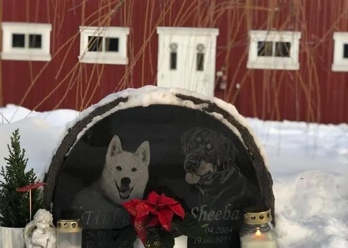 Gardsopphold 아파트