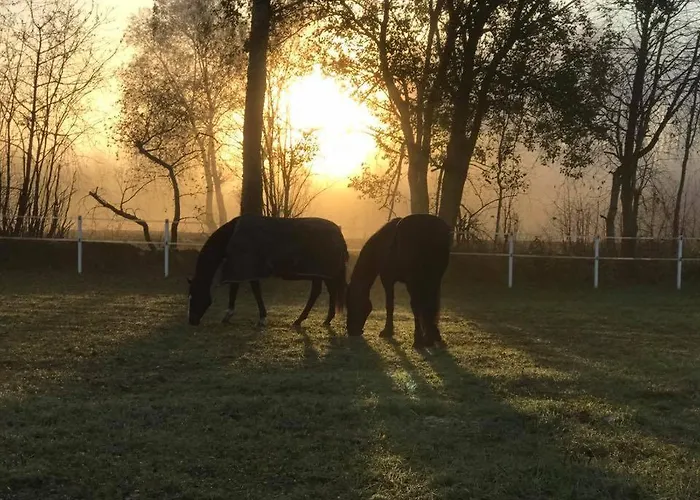 Gårdsopphold Notodden